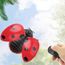 jouet coccinelle