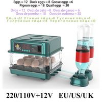 Incubateur d'œufs entièrement automatique à rotation automatique,couveuse d'oiseaux,caille,poulet- 12 Eggs Incubator 1-EU PLUG