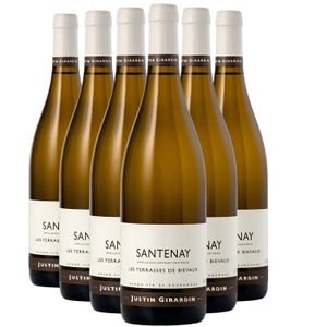 VIN BLANC Justin Girardin Santenay Bieveaux 2022 - Vin Blanc