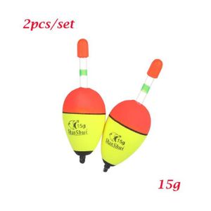 FLOTTEUR Flotteur,Ensemble de 2 flotteurs de pêche à queue dure,5g-8g-10g-15g-20g-30g-40g-50g-60g 70g-80g- 15g[C628290]