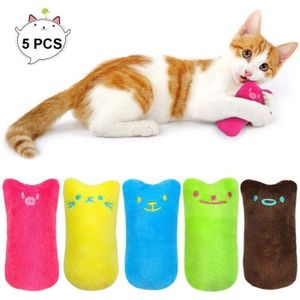 Coussin Herbe A Chat Cdiscount Coussin Herbe A Chat Cdiscount