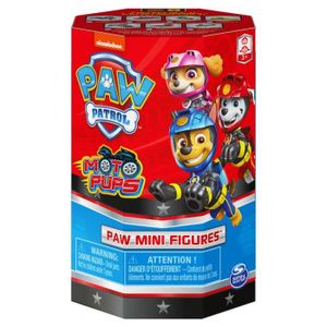 FIGURINE DE JEU Spin Master 6060769 Paw Patrol Mini figurine Hero 