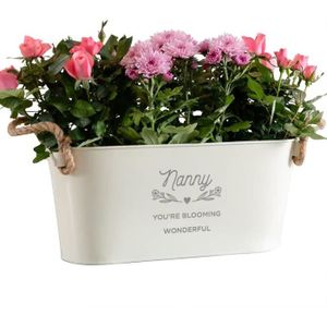 JARDINIÈRE - BAC A FLEUR Pot de fleurs en acier galvanisé - TRAHOO - Taille M - Couleur Nanny