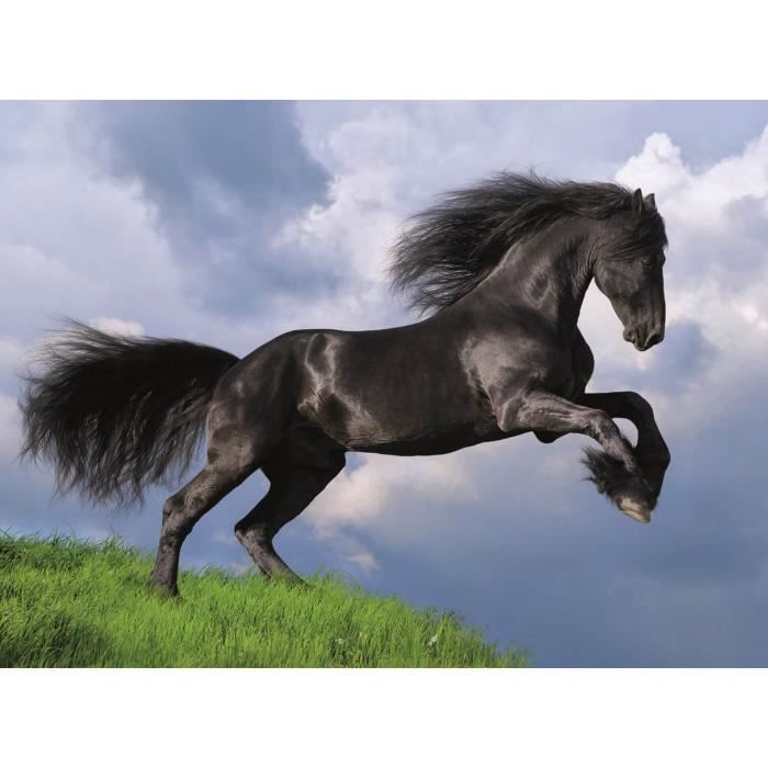 Clementoni - 500 pièces - Fresian black horse