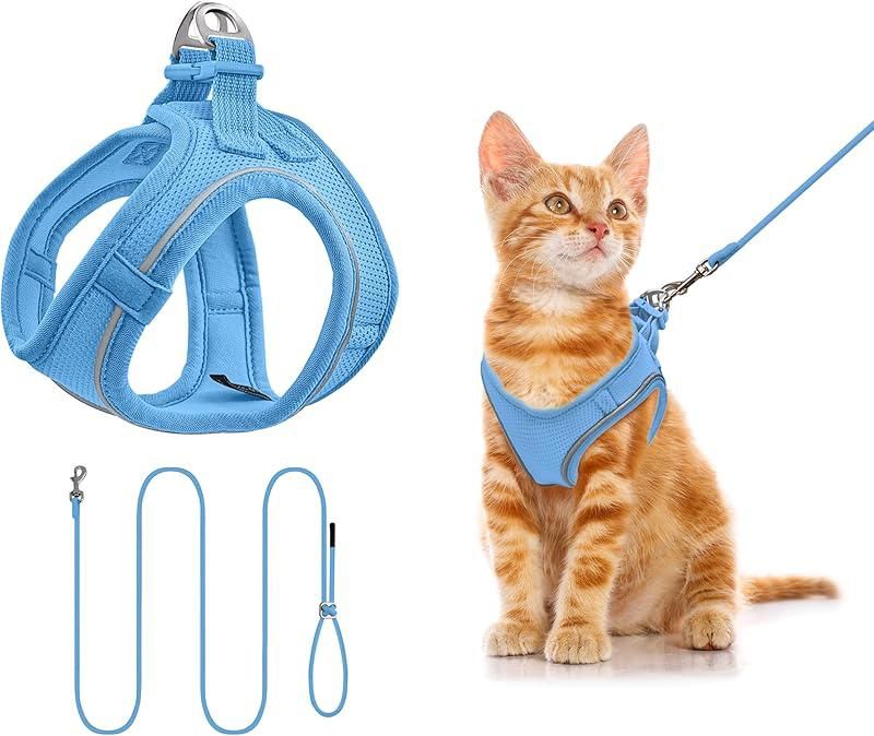 Harnais Pour Petit Chien Réfléchissant Avec Laisse - Design Step-In, Ajustable Et Respirant - Parfait Pour Promenades Et Entraînement - 10