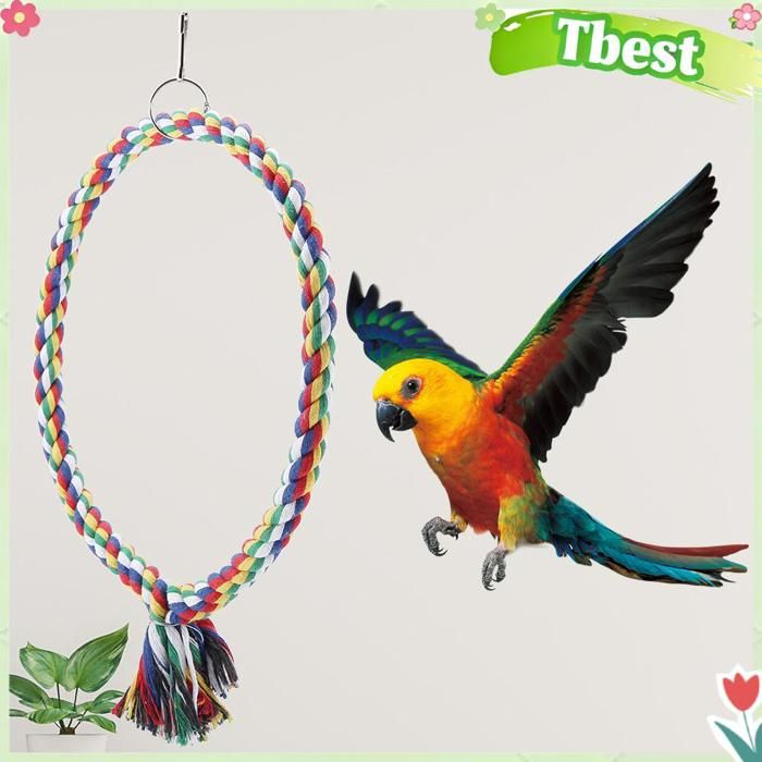 Tbest Balançoire pour perroquet Oiseau perroquet cercle anneau corde perchoir support animalerie jouet Grand Petit diamètre 18cm