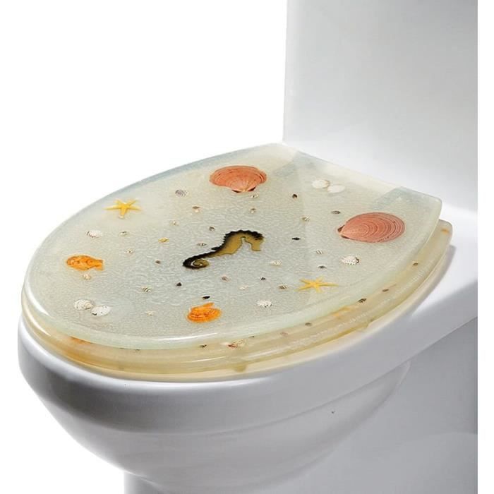 Pack WC à Poser - Avec Abattant à Fermeture Douce - Bouton De Chasse Chromé - Hatton