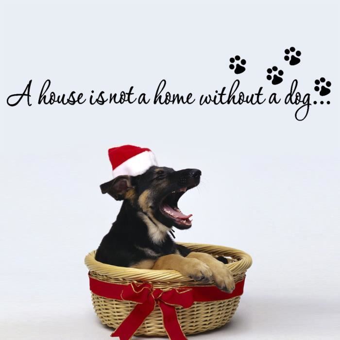 La Maison N Est Pas Une Maison Sans Animal De Compagnie De Citation De Mur Autocollant Pour La Decoration A La Maison Autocollant Achat Vente Objet Decoration Murale Cdiscount