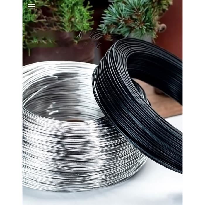 FIL D'ENTRAÎNEMENT POUR Bonsaï Aluminium Anodisé Noir 5 M Pour Plantes