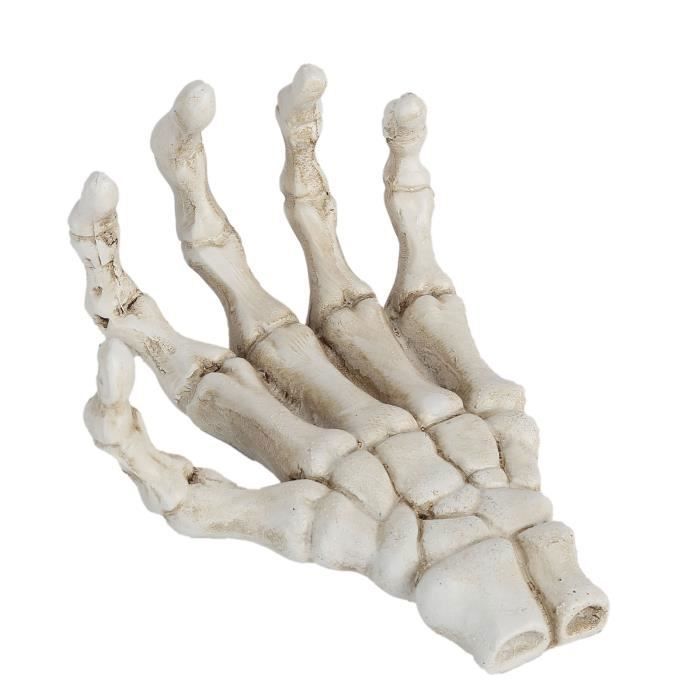 Mains Squelette Halloween Réalistes En Plastique - Lot De 2 Pour Décoration Effrayante