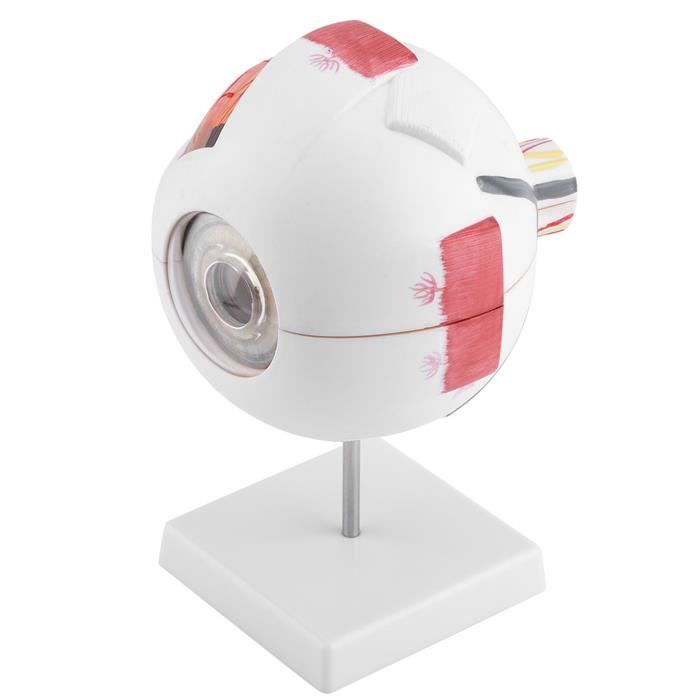 Toyvian – 50 Anneaux Yeux Écarquillés – Anneaux Globe Oculaire – Jouets Fête – Marionnettes à Doigt – 2,8 Cm – 3 Ans+