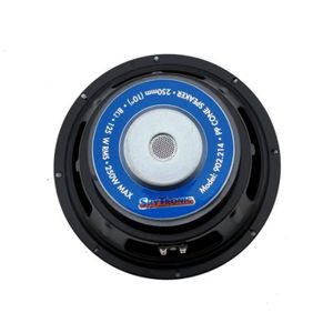 Haut-Parleur 12'' (31cm) - Terre de Son