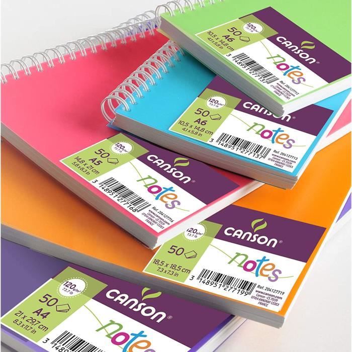 CANSON Carnet de notes 100 pages 120g A5 5 couleurs. Couverture en  polypropylène assorties