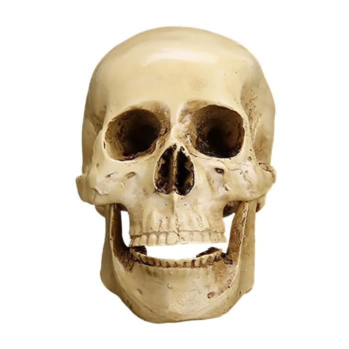 Tête de Skull Figurine Crâne Décoration à Poser Totem Original Statuette en  Résine Noire et Blanche 11,5x23,5x46cm