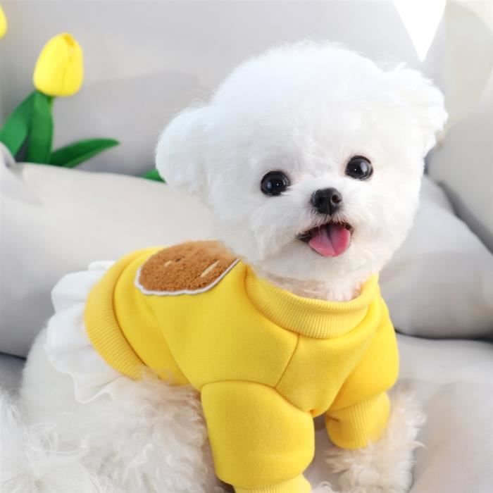 Manteau pour bichon sales