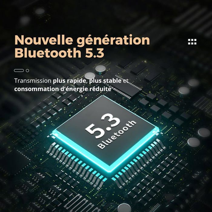Écouteurs Bluetooth 5.0, Casque sans Fil,Écouteurs sans Fil, Microphone intégré et étui de