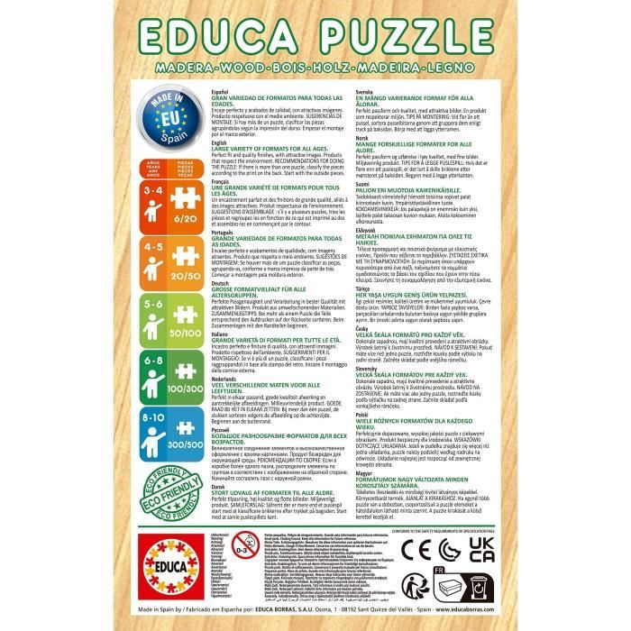 Puzzle en bois Disney Princess (Bella + Vaiana) - 2x25 pièces ...