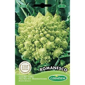 GRAINE - SEMENCE Graines Chou-fleur vert ROMANESCO A109