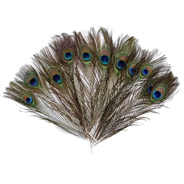 12 plumes de paon plumes d'oeil de paon naturel décoration de fête bricolage