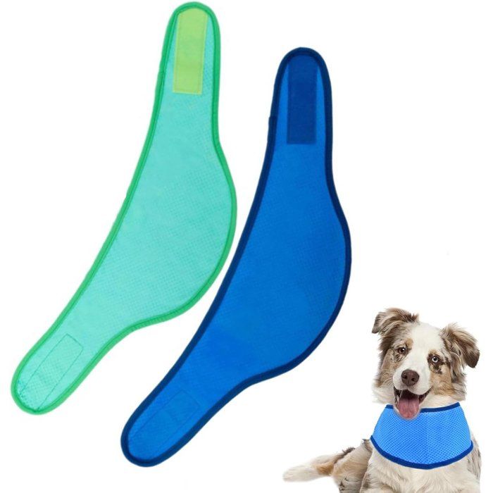 Bandanas rafraîchissants pour chien 2 pièces taille L refroidissement instantané bleu et vert