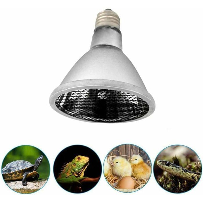 Lampe chauffante infrarouge - MICH - 60W - E27 - Terrarium reptiles - Poulailler - Chiot - Facile à installer - Durable