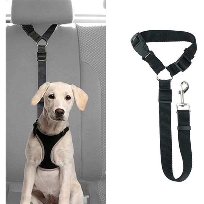 Acheter Harnais de voiture pour chien ceinture de sécurité taille XL - +24  kg