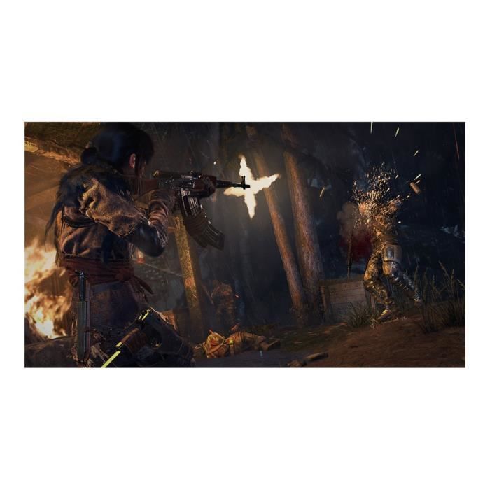Rise Of The Tomb Raider 20 Year Celebration PlayStation 4 Allemand
