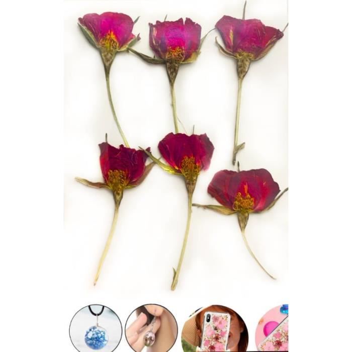 6pcs Vin Rouge De Gros Boutons De Roses Teint Pressé De
