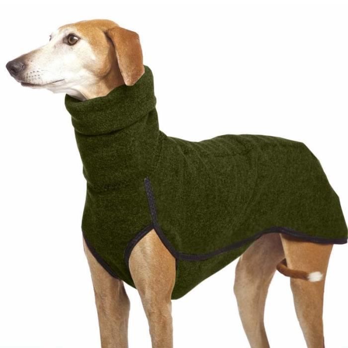 Manteau S 5XL Greyhound chien manteau col roul charpe printemps