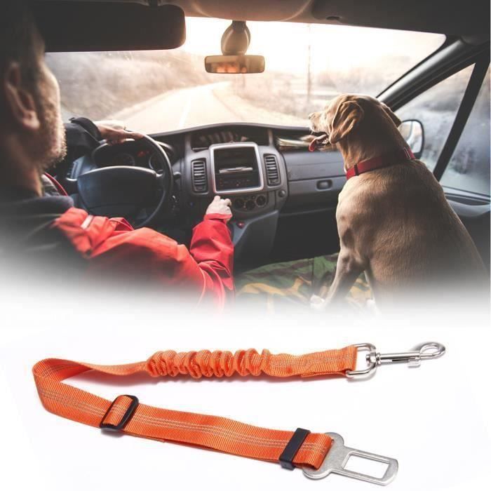 Ceinture Sécurité Chien Voiture Ceinture De Sécurité Pour Chien/Chat - Attache Ceinture Auto Réglable 45-65 Cm - FIDELAMI Accessoire Transport Chat Chien - Foto 11