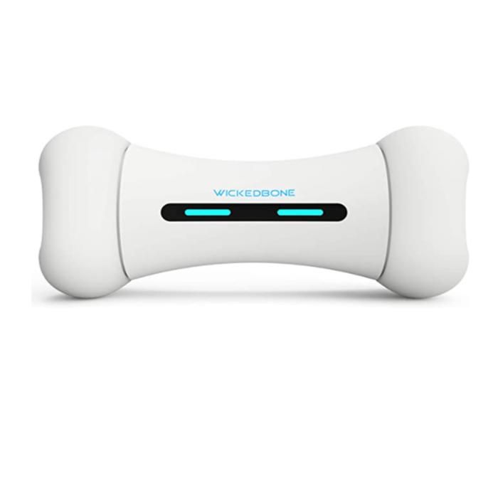 INF Jouet interactif pour chien en os de chien Wickedbone
