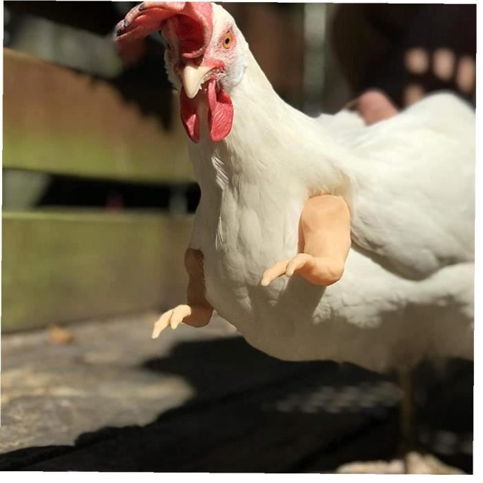 Bras Musculaire Pour Chat - Accessoire De Costume D'Halloween