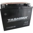 Batterie Tashima YTX20H-BS 12V 18Ah (livree avec acide separé) Greenstar-0