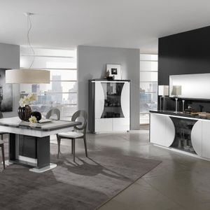 Salon Salle A Manger Blanc Et Gris Meuble Salle A Manger Blanc Et Gris Laque Achat Vente Pas Cher