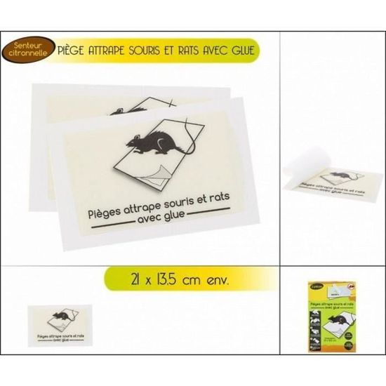 Piège Attrape Souris et Rat Glue 21 x 13.5 cm - Maison Colle Nuisible Rongeur