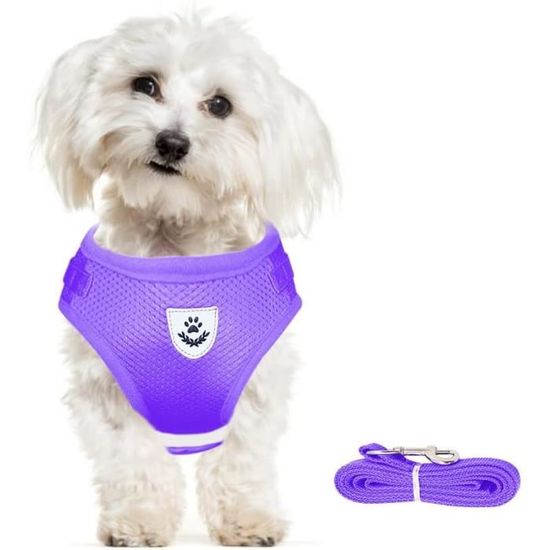 DORAMIO Harnais Chien, Step-in Harnais pour Chiens avec Laisse