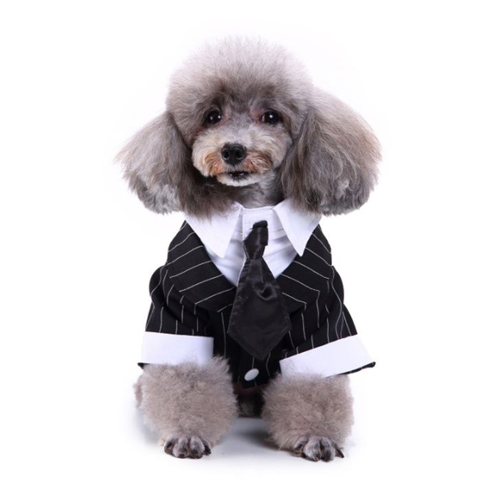 Chemises pour chien pour mariage smoking pour chiot tenue de soirée pour chien smoking pour chien costume costume et cravate