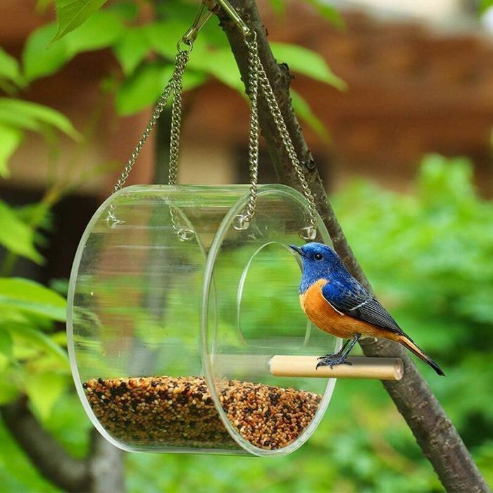 Mangeoire pour oiseaux - OKZ - Ronde - Acrylique - Suspendue - Extérieur