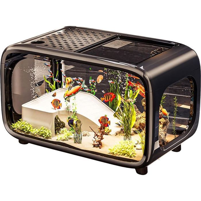 Aquarium de bureau pour poissons et tortues – bocal compact