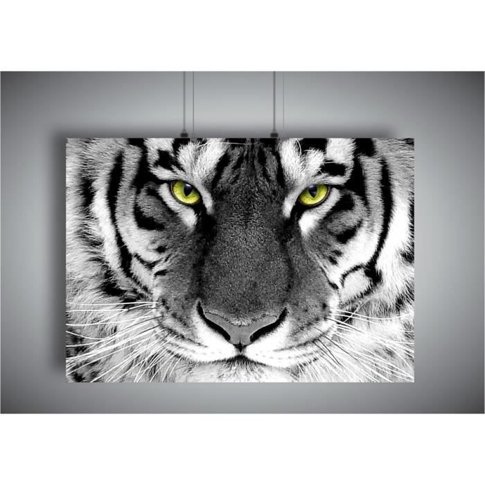 Poster Tete Tigre Blanc Yeux Brillanta3 42x29 7cm Achat