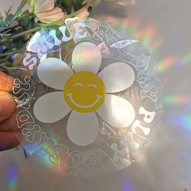 48 PCS Stickers Arc-en-Ciel pour Fenêtres, Effet Prisme Anti-Collision Oiseaux, Sticker Soleil Attrape-Rayons avec Design Ornitho-Décoratif | Leroy Merlin