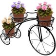 UNHO Étagère à Fleurs Fer Forgé Porte Plantes 79.5 x 52 x 23.5cm Escalier Fleurs en Forme de Vélo pour Orchidées Violon Jardin-1