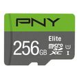 PNY Carte mémoire MICROSDX 256GB ELITE-1