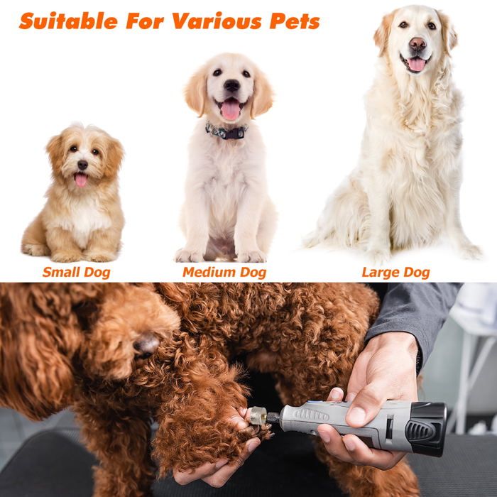 Lot De 3 Têtes De Rechange Pour Ponceuse à Ongles Chien - Revêtement Diamant - Compatible Casfuy N10/N20/N30 - Petits, Moyens Et Grands Chiens