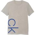 Calvin Klein  Side Logo T-Shirt Homme Gris-0