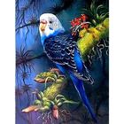 VOLIBEAR 2019 Peinture en Diamant, 5D DIY Diamond Painting Strass Complet Broderie kit Canevas Diamant (K, 40x30cm) M950