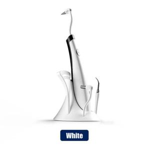 SOIN BLANCHIMENT DENTS Blanc - Nettoyeur de dents à ultrasons, dissolvant de tartre, taches, Plaque dentaire, blanchiment des dents,