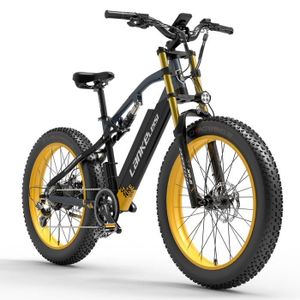 VÉLO ASSISTANCE ÉLEC Vélo Électrique RV700 VEA 16AH 48V 1000W 26 inch P