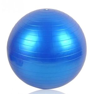 BALLON SUISSE-GYM BALL JOJO Ballon de gymnastique et fitness résistant avec pompe Ø 75 cm