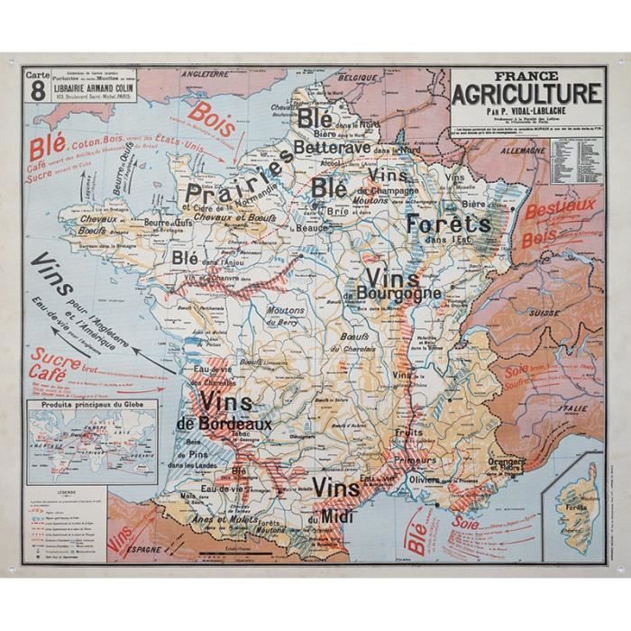 CARTE MURALE VIDAL LABLACHE N° 8 - FRANCE AGRICULTURE (REPRODUCTION ANCIENNE CARTE SCOLAIRE)